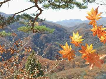 site:yiyda.cn_谨防虚假包装计_40-24-31-20-25-49特别号码：37